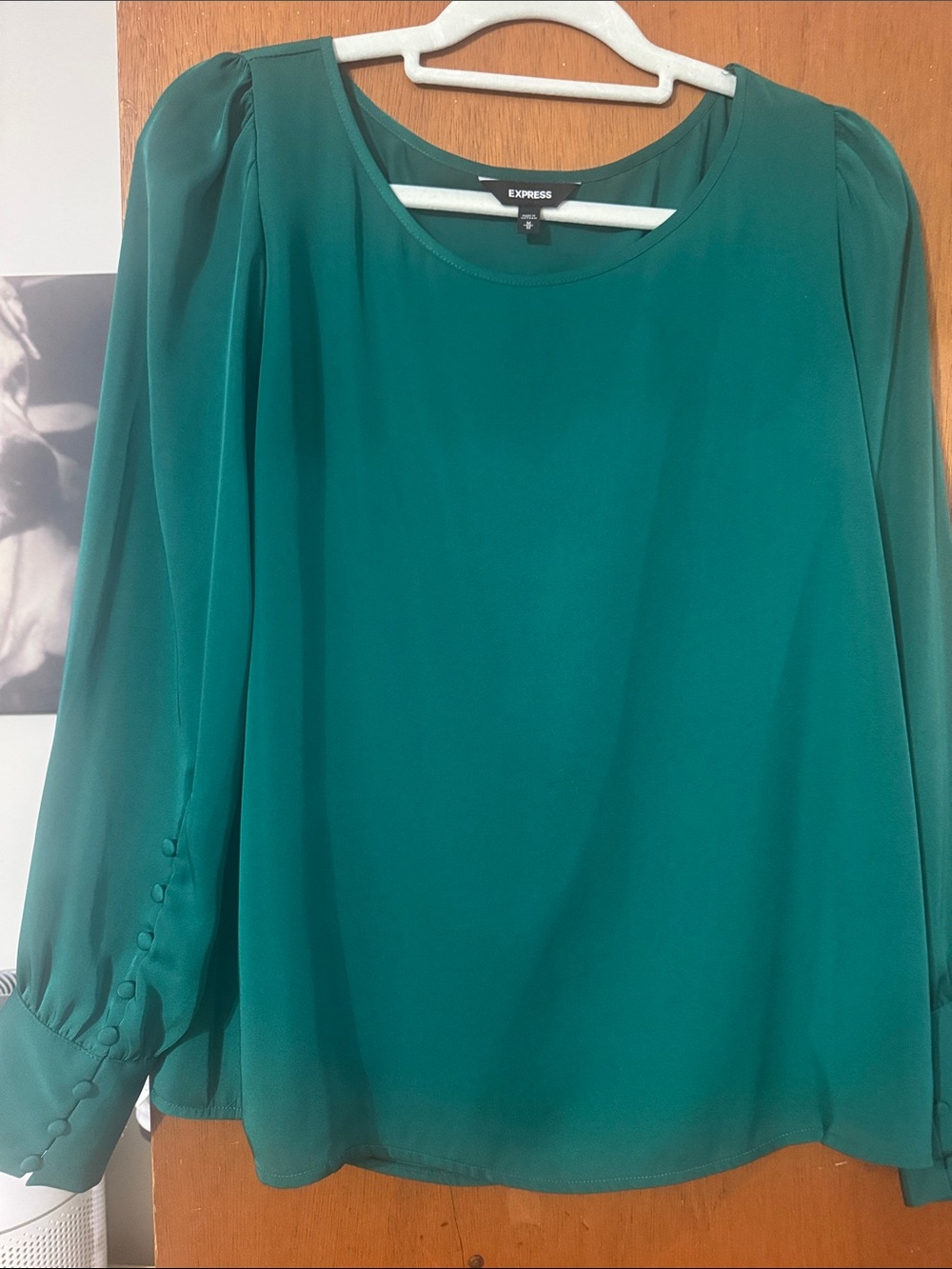 Express Teal Green Chiffon Long-Sleeve Blouse